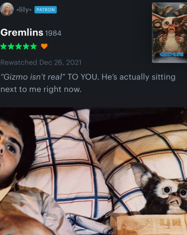 ⚫lily⚫ PATRON Gremlins 1984 GREMLINS Rewatched Dec 26, 2021 "Gizmo isn't real" TO YOU. He's actually sitting next to me right now.