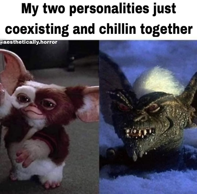My two personalities just coexisting and chillin together @aesthetically.horror