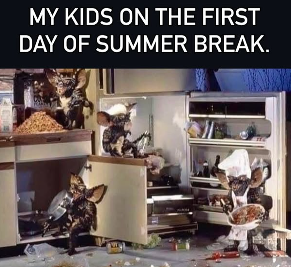 MY KIDS ON THE FIRST DAY OF SUMMER BREAK. CO
