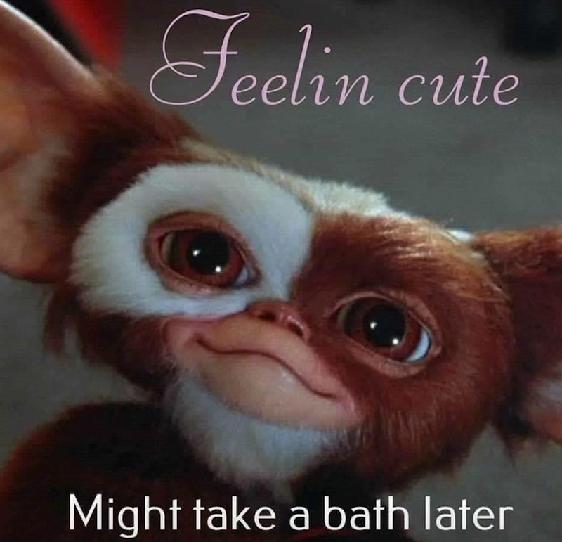 Feelin cute Might take a bath later