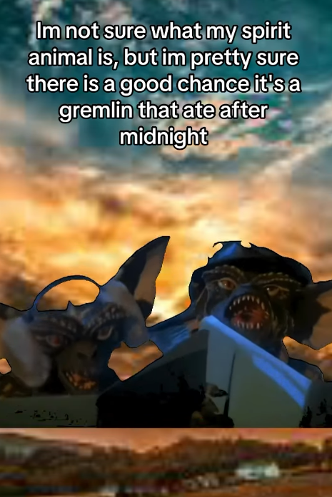 Im not sure what my spirit animal is, but im pretty sure there is a good chance it's a gremlin that ate after midnight