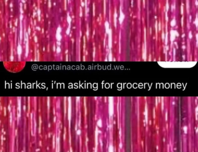 @captainacab.airbud.we... hi sharks, i'm asking for grocery money