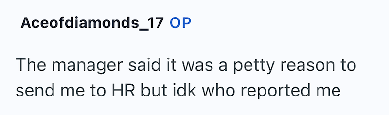 Aceofdiamonds_17 OP The manager said it was a petty reason to send me to HR but idk who reported me