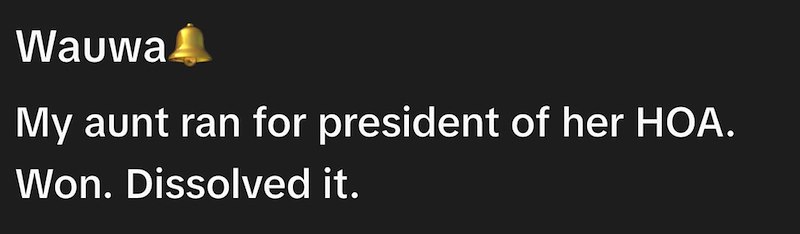 Wauwa My aunt ran for president of her HOA. Won. Dissolved it.