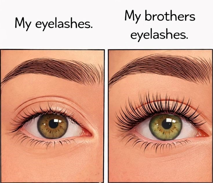 My eyelashes. My brothers eyelashes.