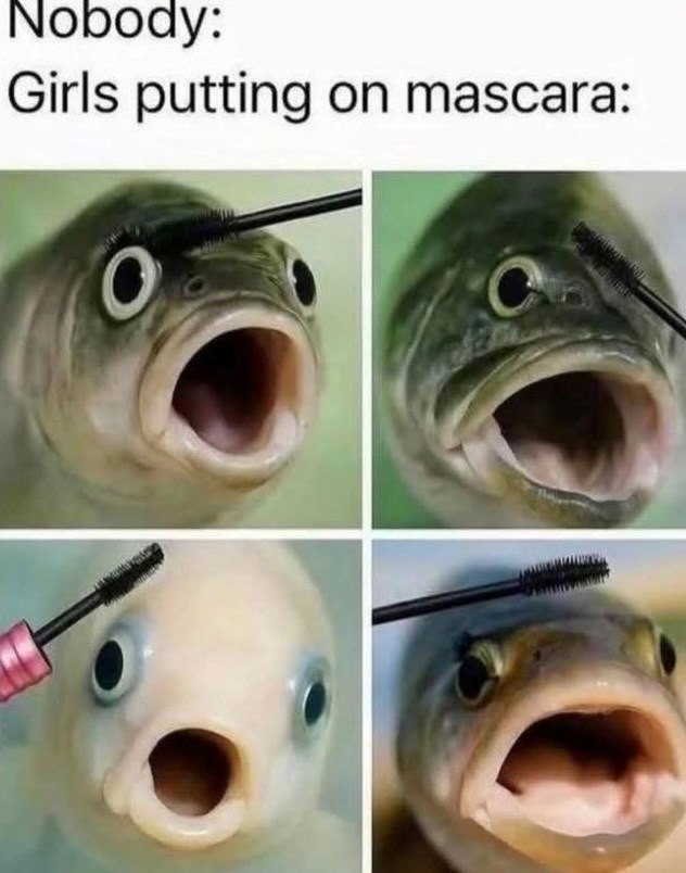 Nobody: Girls putting on mascara: O C