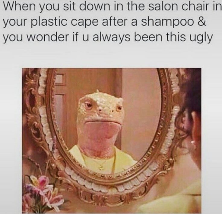 When you sit down in the salon chair in your plastic cape after a shampoo & you wonder if u always been this ugly