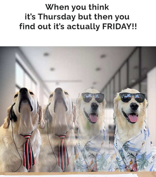 When you think it's Thursday but then you find out it's actually FRIDAY!!
