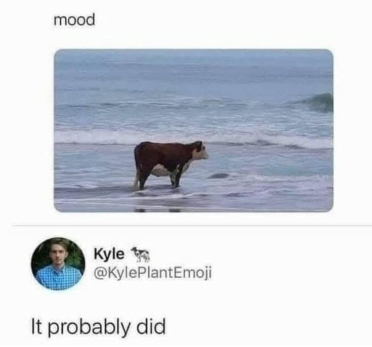 mood Kyle @KylePlantEmoji It probably did