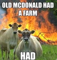 OLD MCDONALD HAD A FARM HAD