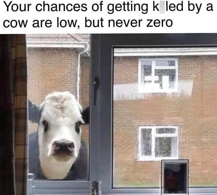Your chances of getting k led by a cow are low, but never zero