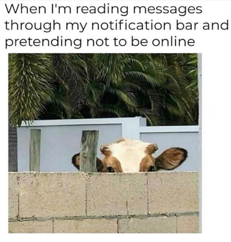 When I'm reading messages through my notification bar and pretending not to be online.