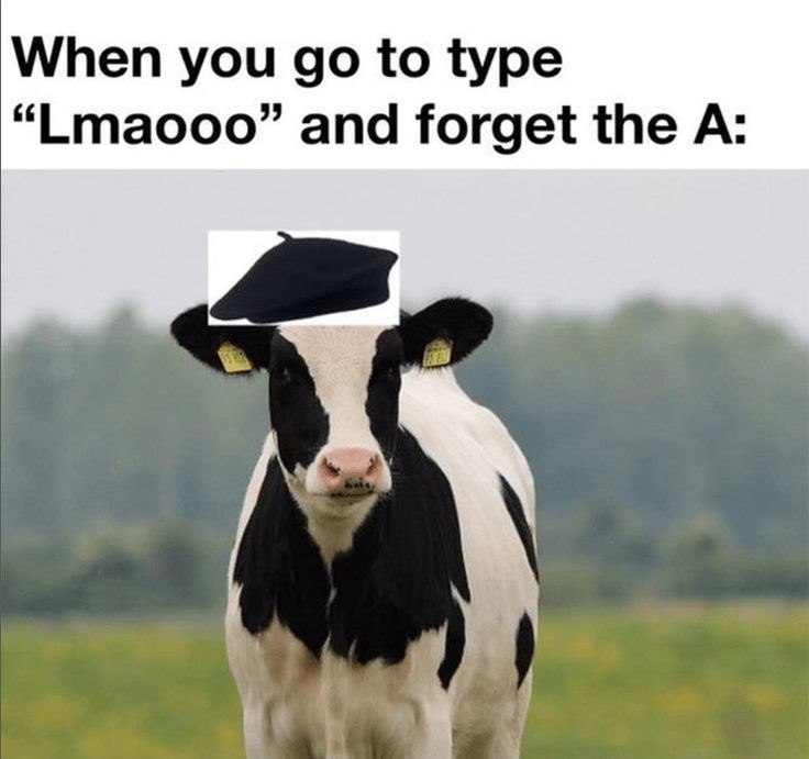 When you go to type "Lmaooo" and forget the A: