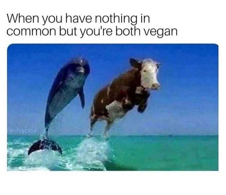 When you have nothing in common but you're both vegan