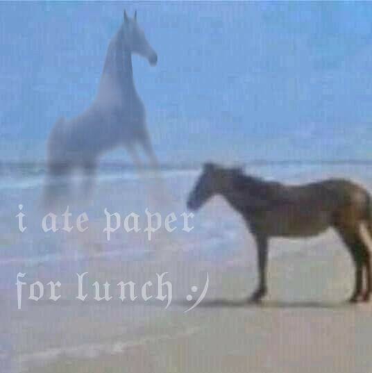 i ate paper for lunch)