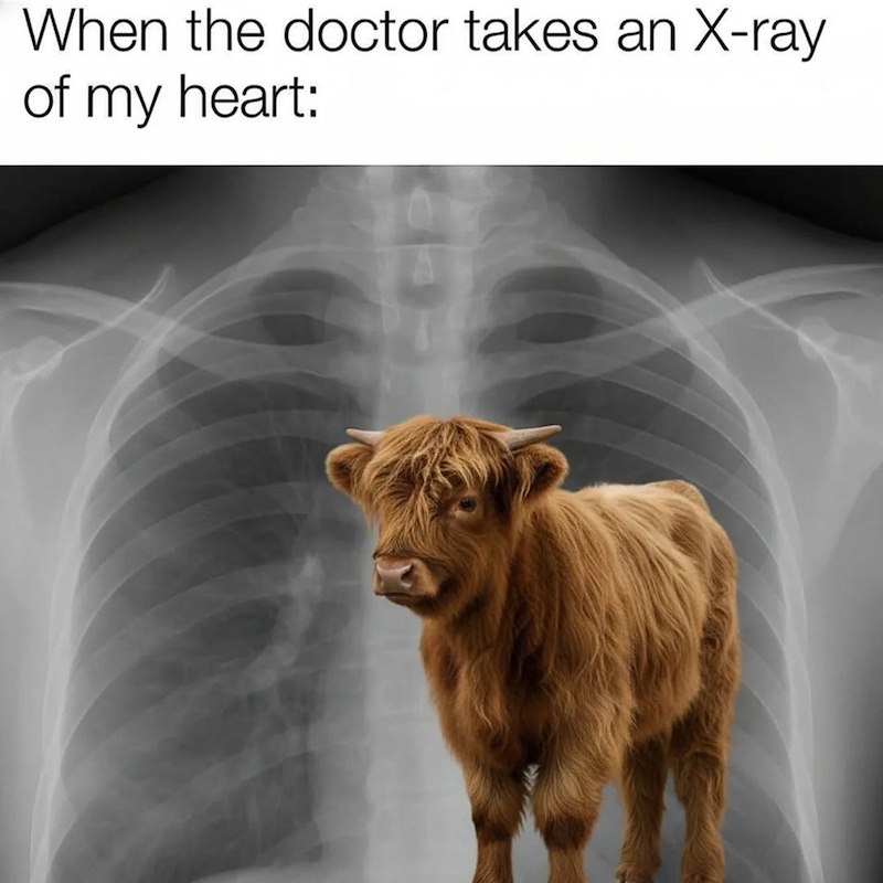 When the doctor takes an X-ray of my heart: