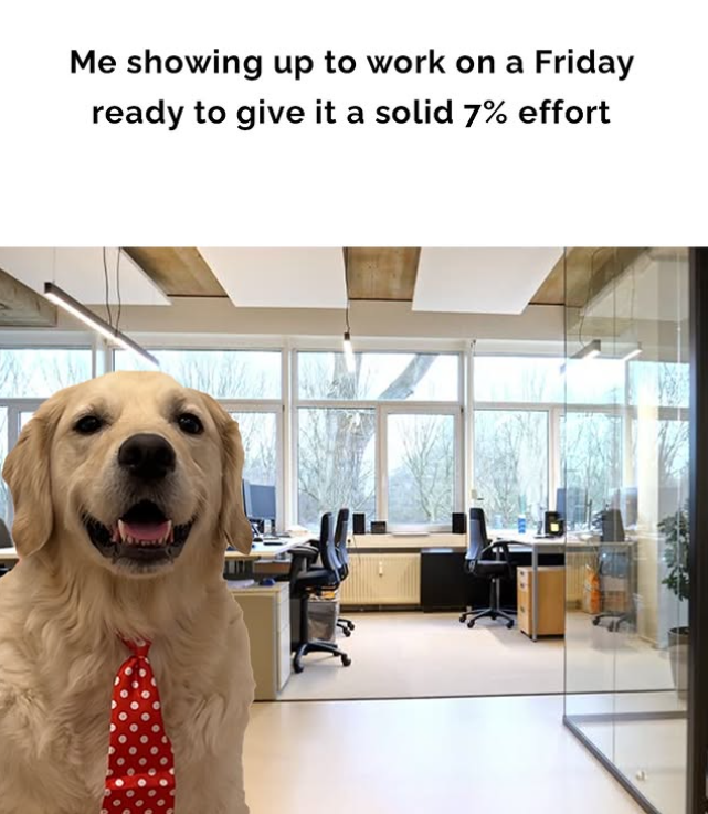 Me showing up to work on a Friday ready to give it a solid 7% effort