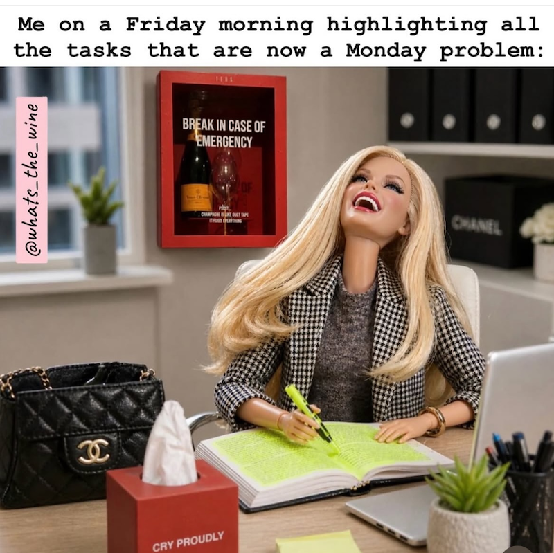 Me on a Friday morning highlighting all the tasks that are now a Monday problem: @whats_the_wine C CRY PROUDLY BREAK IN CASE OF EMERGENCY CHAMPAGNE SEDUCT OF CHANEL