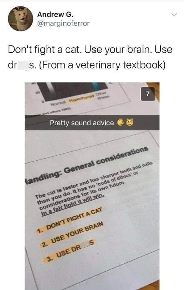 Andrew G. @marginoferror Don't fight a cat. Use your brain. Use drs. (From a veterinary textbook) Normal Hyperthyroid Over and others 1984) Pretty sound advice 7 Handling: General considerations The cat is faster and has sharper teeth and nails than you do. It has no 'code of ethics' or considerations for its own future. In a fair fight it will win. 1. DON'T FIGHT A CAT 2. USE YOUR BRAIN 3. USE DR S