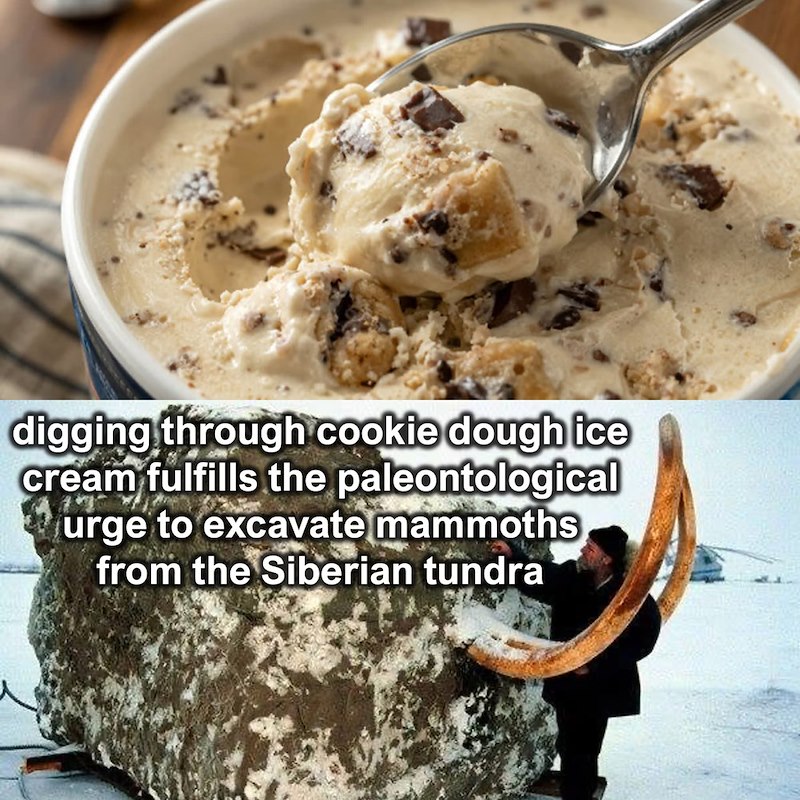 digging through cookie dough ice cream fulfills the paleontological urge to excavate mammoths from the Siberian tundra