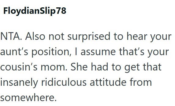 FloydianSlip78 NTA. Also not surprised to hear your aunt's position, I assume that's your cousin's mom. She had to get that insanely ridiculous attitude from somewhere.