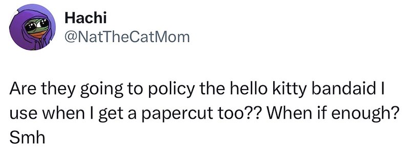 Hachi @NatTheCatMom Are they going to policy the hello kitty bandaid I use when I get a papercut too?? When if enough? Smh