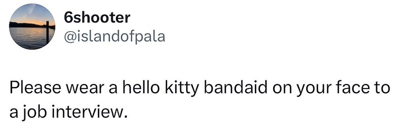 6shooter @islandofpala Please wear a hello kitty bandaid on your face to a job interview.