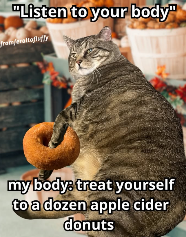 "Listen to your body" fromferaltofluffy my body: treat yourself to a dozen apple cider donuts