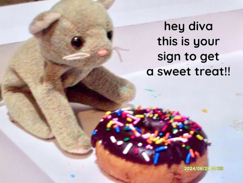 hey diva this is your sign to get a sweet treat!! 2024/08/28 06:39