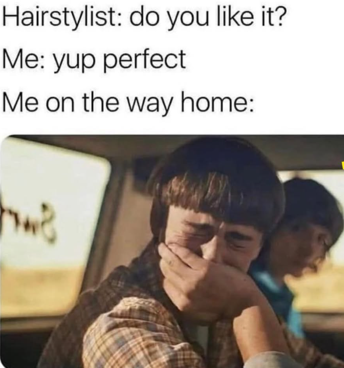 Hairstylist: do you like it? Me: yup perfect Me on the way home: hwe