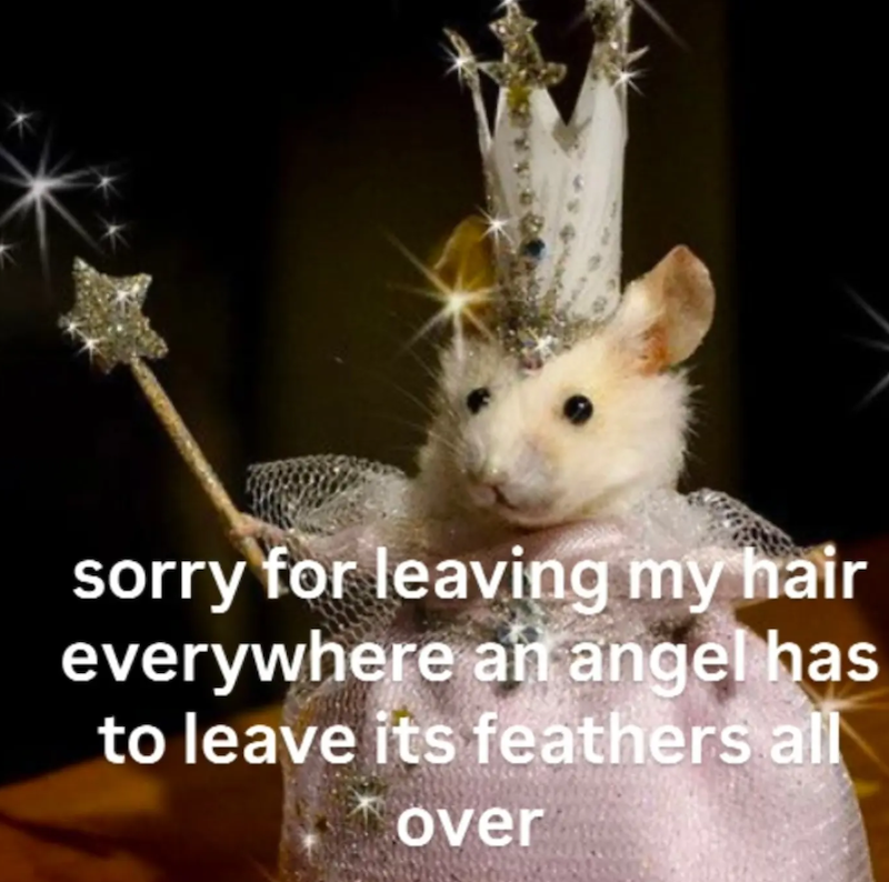 sorry for leaving my hair everywhere an angel has to leave its feathers all over
