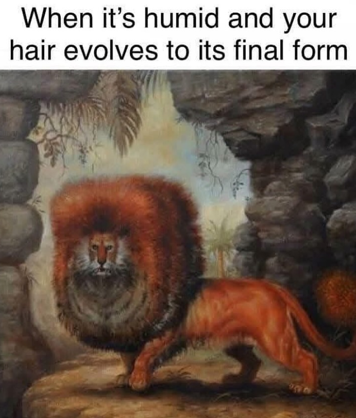 When it's humid and your hair evolves to its final form