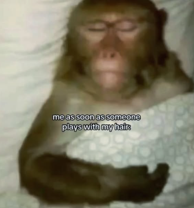 me as soon as someone plays with my hair: