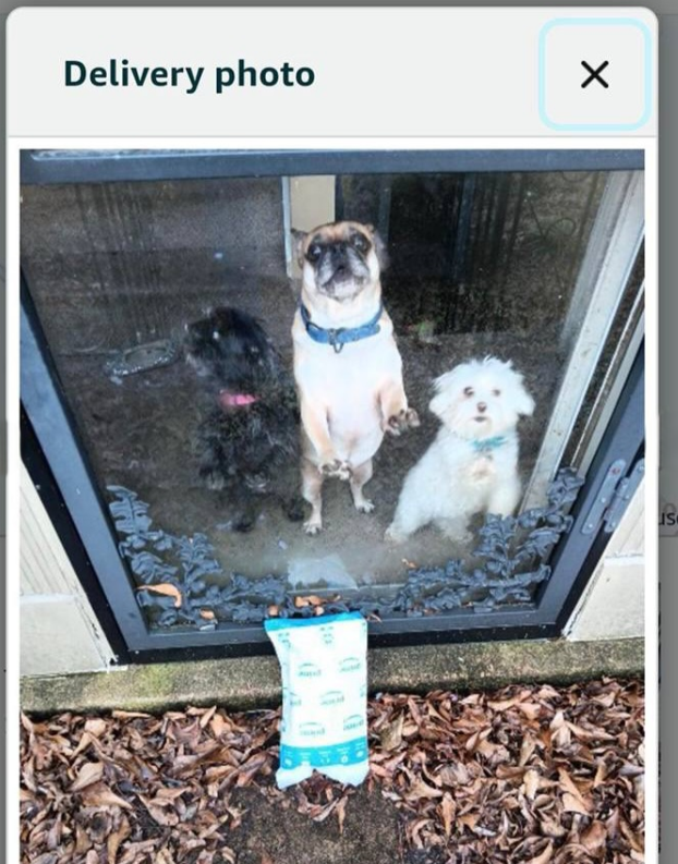 Delivery photo ☑