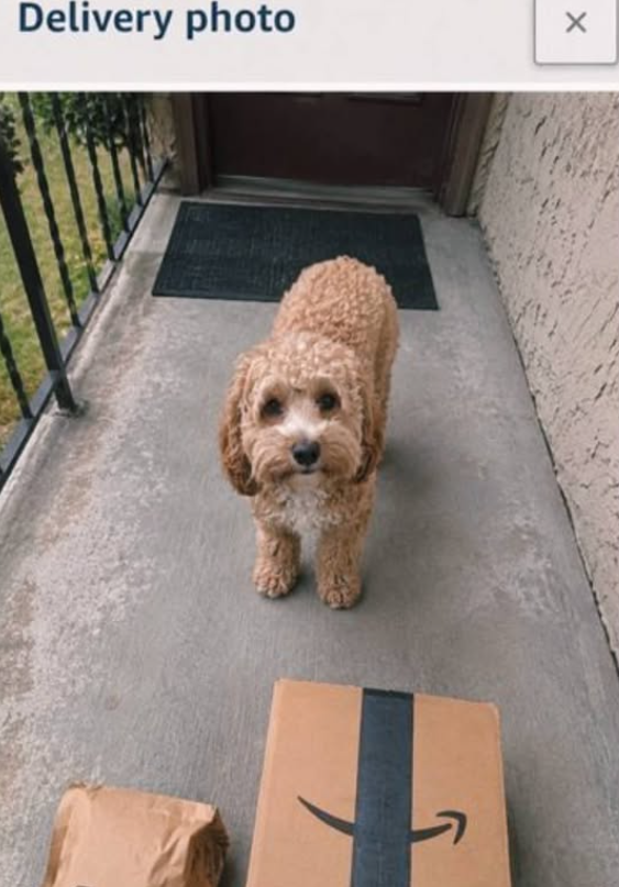 Delivery photo