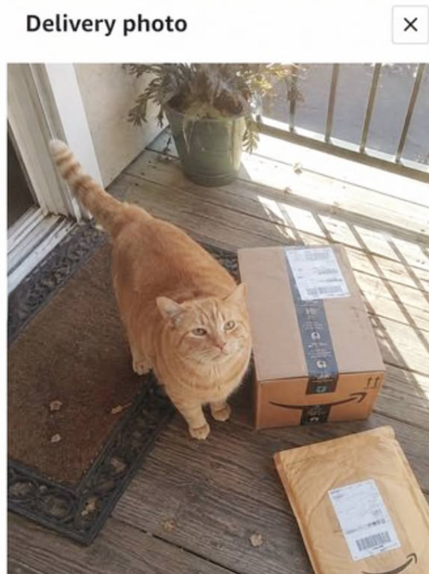 Delivery photo