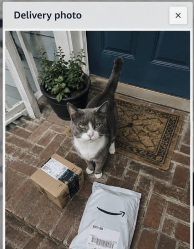 Delivery photo