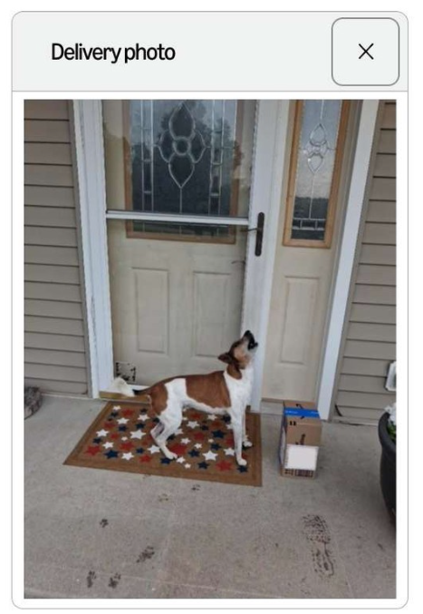 Delivery photo ☑
