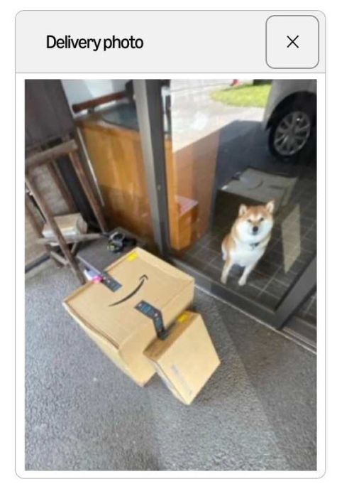 Delivery photo