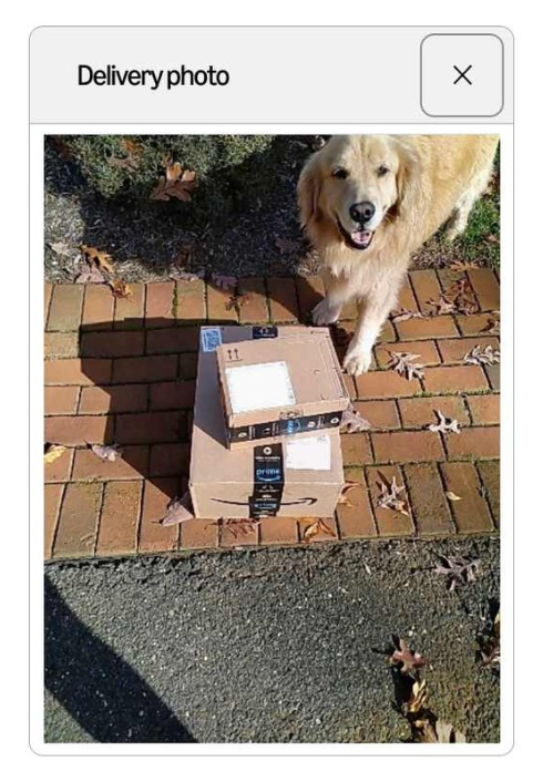 Delivery photo ☑