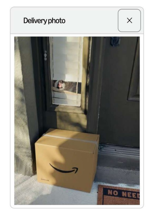 Delivery photo ✗ NO NEED