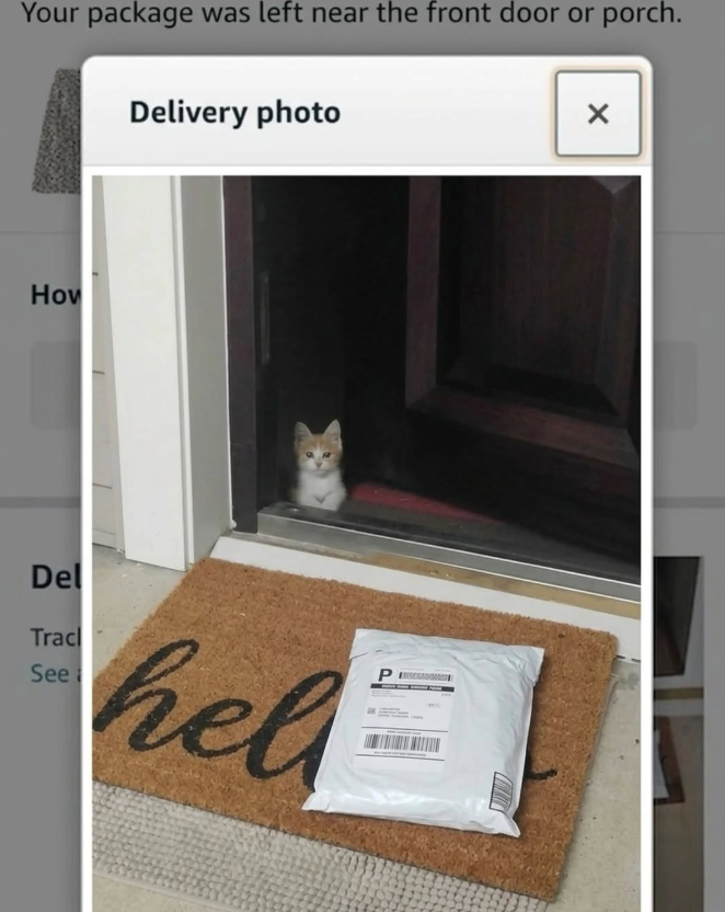 Your package was left near the front door or porch. Delivery photo How Del Tracl See hel P