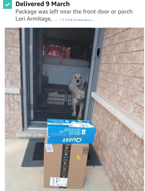 Delivered 9 March Package was left near the front door or porch Lori Armitage, wwwww.BUNDA TORTILLA PROTEINEES PROTEIN CHIPS SEND anes