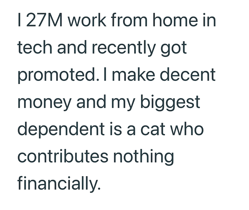 1 27M work from home in tech and recently got promoted. I make decent money and my biggest dependent is a cat who contributes nothing financially.