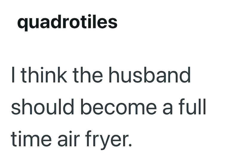 quadrotiles I think the husband should become a full time air fryer.