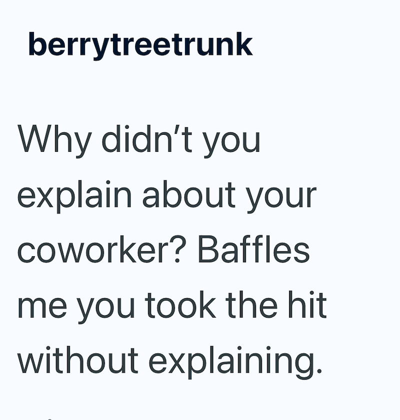 berrytreetrunk Why didn't you explain about your coworker? Baffles me you took the hit without explaining.