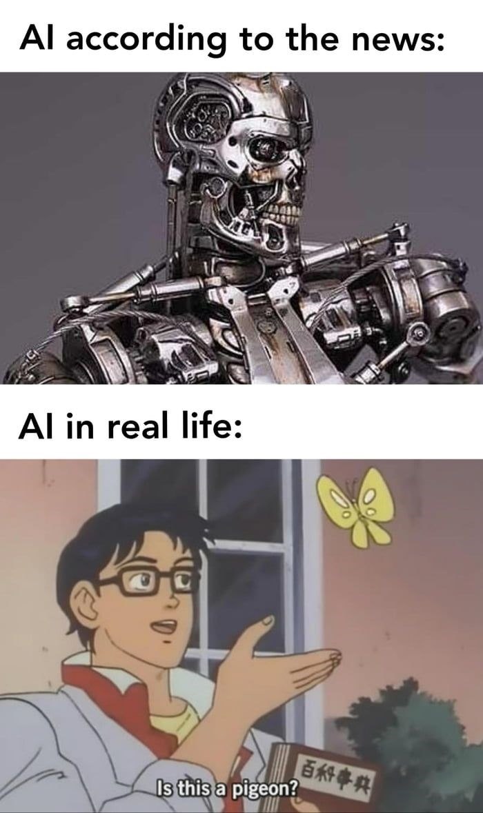 Al according to the news: Al in real life: | 百科事典 Is this a pigeon?