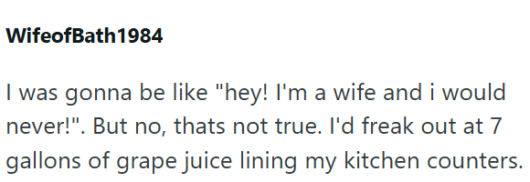 WifeofBath 1984 I was gonna be like "hey! I'm a wife and i would never!". But no, thats not true. I'd freak out at 7 gallons of grape juice lining my kitchen counters.