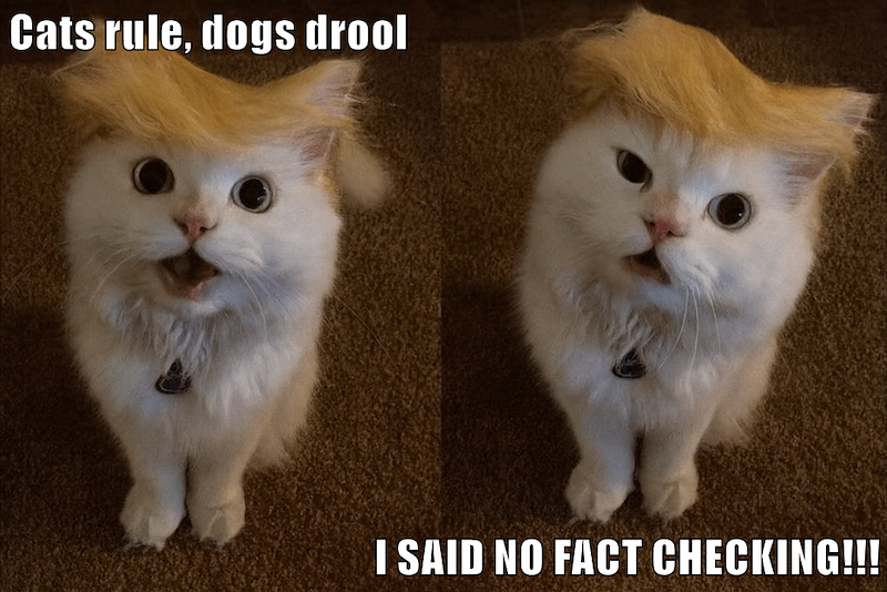 Cats rule, dogs drool I SAID NO FACT CHECKING!!!
