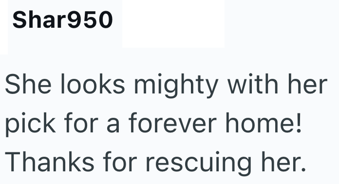 Shar950 She looks mighty with her pick for a forever home! Thanks for rescuing her.